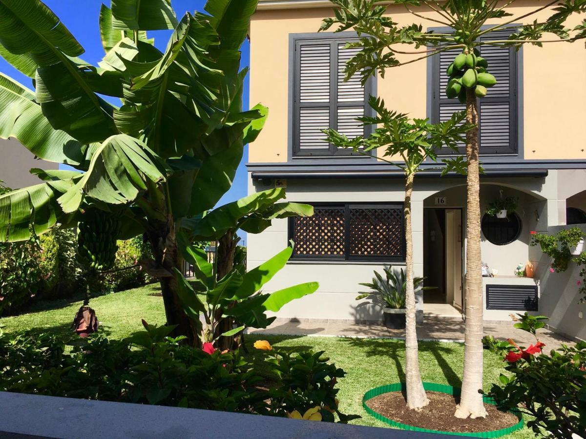 Vila La Quinta Garden Santa Úrsula Exteriér fotografie