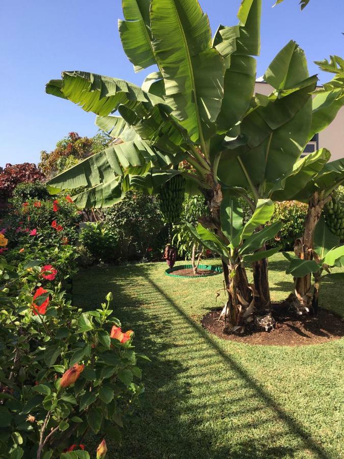 Vila La Quinta Garden Santa Úrsula Exteriér fotografie
